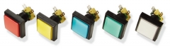 LOW PROFILE PUSH BUTTON WITH SWITCH AND LAMP 51*51MM