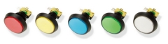 63MM FLAT PUSH BUTTON WITH SWITCH AND LAMP